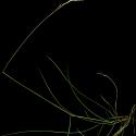 Img.VTax3849.ExN.Img1