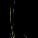 Img.VTax3856.ExN.Img5