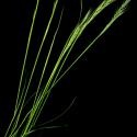 Img.VTax3884.ExN.Img10