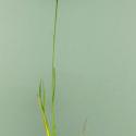 Img.VTax3884.ExN.Img4