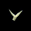 Img.VTax3890.ExN.Img9