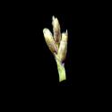 Img.VTax3893.ExN.Img6