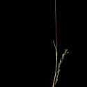 Img.VTax3893.ExN.Img7