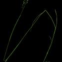 Img.VTax3910.ExN.Img6