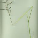 Img.VTax3920.ExN.Img2