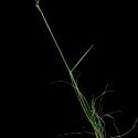 Img.VTax3924.ExN.Img4