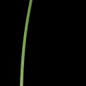 Img.VTax3924.ExN.Img6