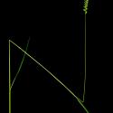 Img.VTax3926.ExN.Img2
