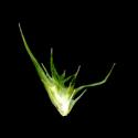 Img.VTax3939.ExN.Img3