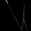 Img.VTax3946.ExN.Img10