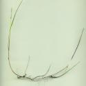 Img.VTax3948.ExN.Img6
