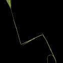 Img.VTax3959.ExN.Img2