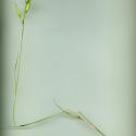 Img.VTax3965.ExN.Img3