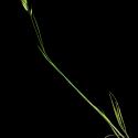 Img.VTax3965.ExN.Img6