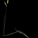 Img.VTax3965.ExN.Img7