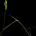Img.VTax3973.ExN.Img4