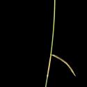 Img.VTax3976.ExN.Img6