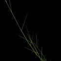 Img.VTax3978.ExN.Img2