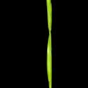 Img.VTax3978.ExN.Img3