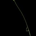 Img.VTax3993.ExN.Img8