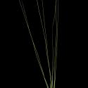 Img.VTax3997.ExN.Img6