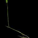Img.VTax3999.ExN.Img4