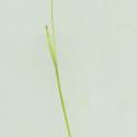 Img.VTax4014.ExN.Img1