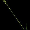 Img.VTax4029.ExN.Img3