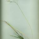 Img.VTax4039.ExN.Img3