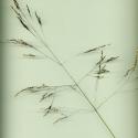 Img.VTax4043.ExN.Img9