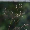 Img.VTax4045.ExN.Img3