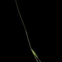 Img.VTax4075.ExN.Img8