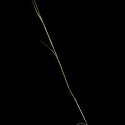 Img.VTax4079.ExN.Img1