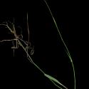 Img.VTax4109.ExN.Img10