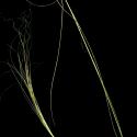Img.VTax4123.ExN.Img1