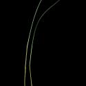 Img.VTax4123.ExN.Img3