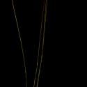 Img.VTax4125.ExN.Img5