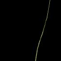 Img.VTax4126.ExN.Img2