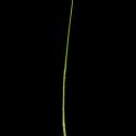 Img.VTax4127.ExN.Img5
