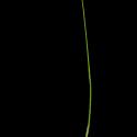 Img.VTax4127.ExN.Img8