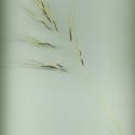 Img.VTax4133.ExN.Img7