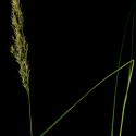 Img.VTax4135.ExN.Img6