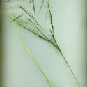 Img.VTax4151.ExN.Img3