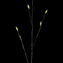 Img.VTax4172.ExN.Img7