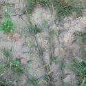 Img.VTax4197.ExN.Img5