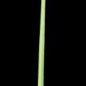 Img.VTax4206.ExN.Img7