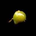 Img.VTax465.ExN.Img6