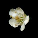 Img.VTax511.ExN.Img7