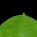 Img.VTax583.ExN.Img7