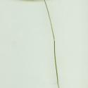 Img.VTax61.ExN.Img4